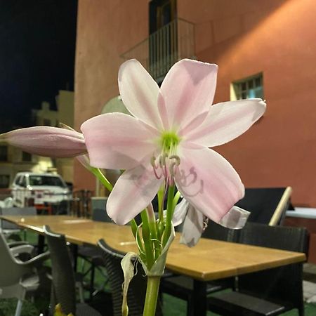 Restaurant & Rooms Cabrit Sant Mateu Bagian luar foto