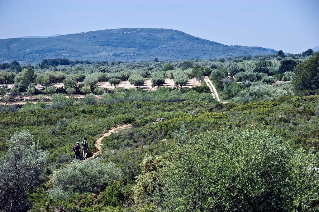 Restaurant & Rooms Cabrit Sant Mateu Bagian luar foto